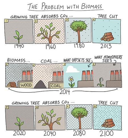 biomass_carbon_cartoon.jpg